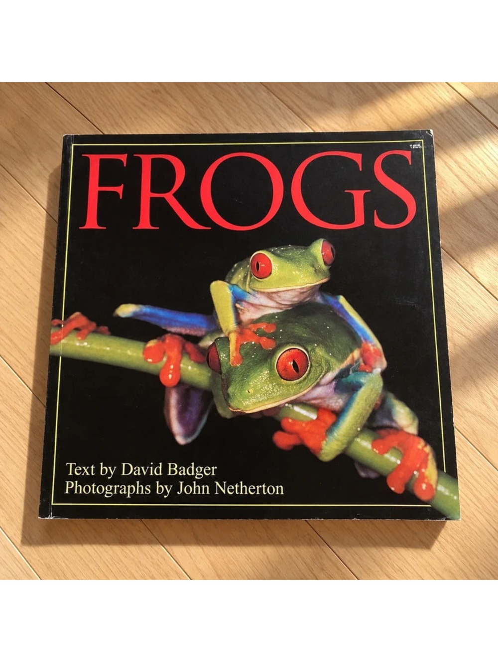Frogs David P Badger John Netherton 1995 Vintage Hardcover Nature Photography